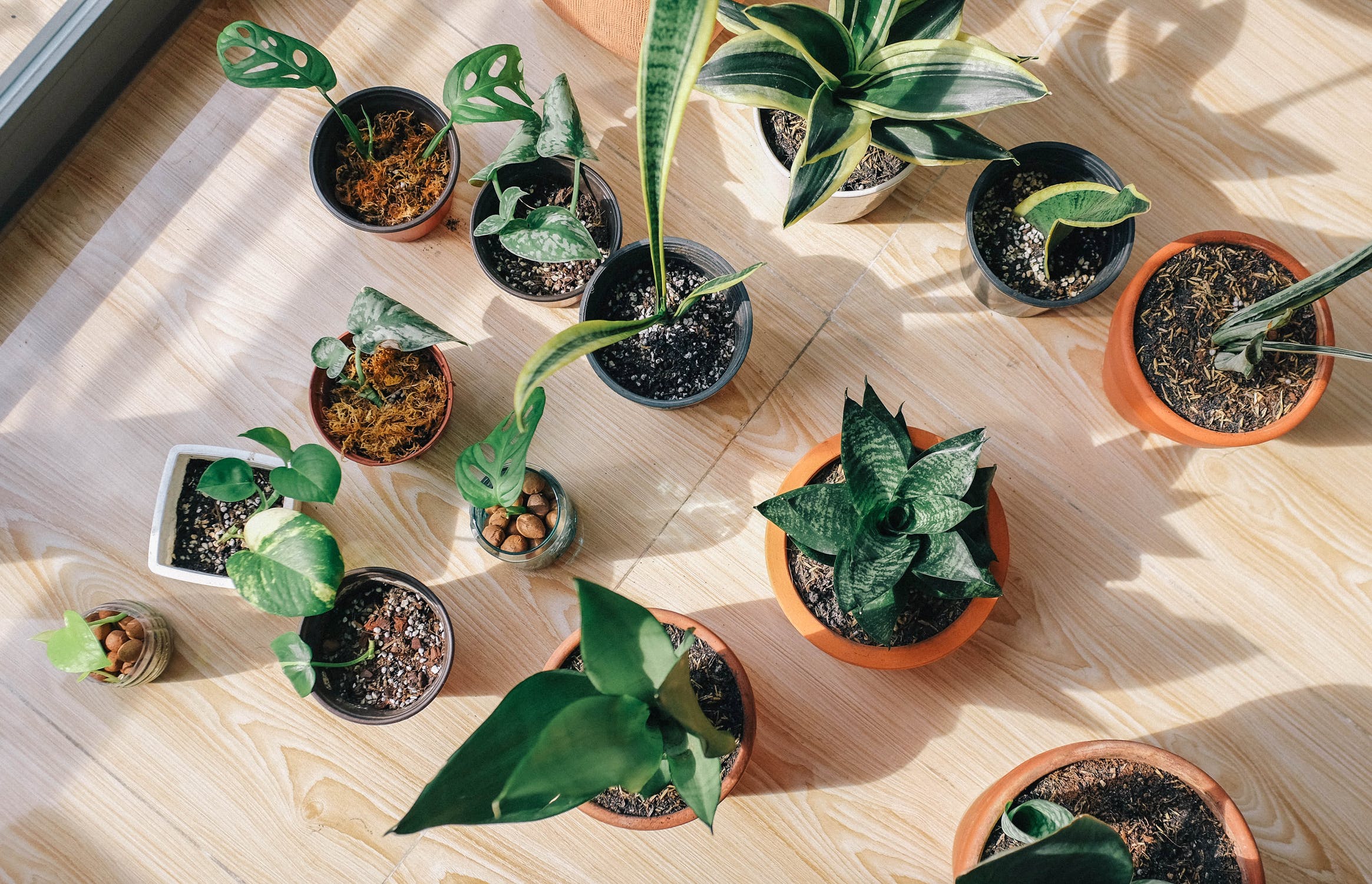 gardening