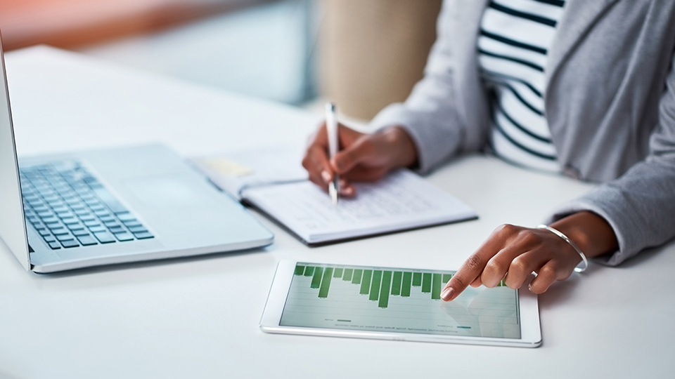 financial audit what is the audit process