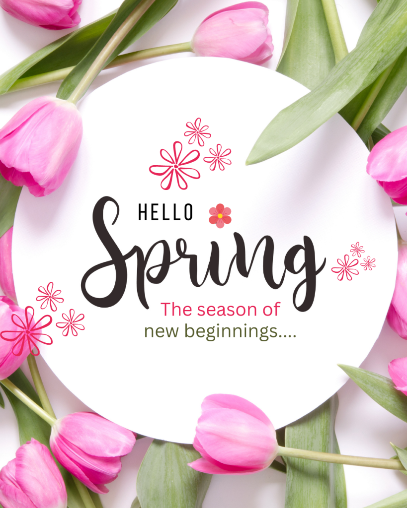 hello spring (flyer)