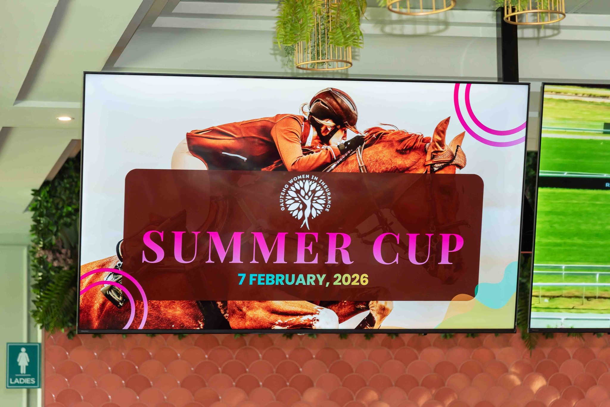 summer cup